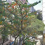 Moderno 2 Quartos 300M Da Praia De Copacabana